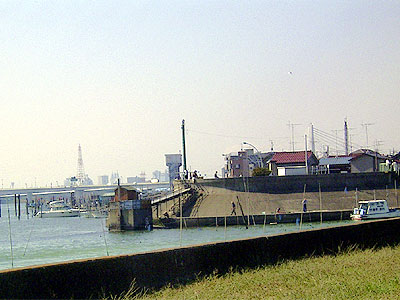 ������ƊC�V���