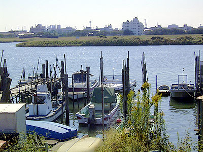 ������͌����݂���E�ݑ�������