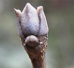 ���}�g�A�I�_���Ƌ�������悤�ȁH