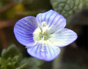 �I�I�C�k�m�t�O���@�i03/02/14�j