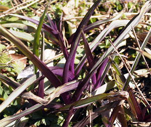 �H�@�i03/02/14�j