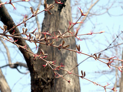 �J�c���|03/03/27