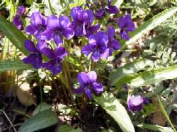 �X�~���@�i03/04/16�j