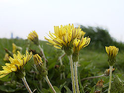 �J���g�E�^���|�|�@�i03/04/19�j