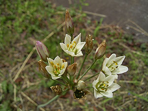 �n�^�P�j��