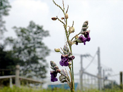 �~�Y�J���i