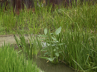 �~�Y�J���i