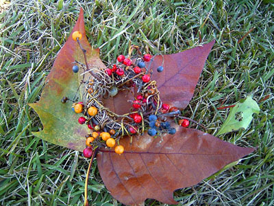 ������̌b�݂ō�������[�X