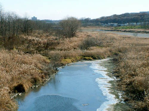 tamagawa.jpg