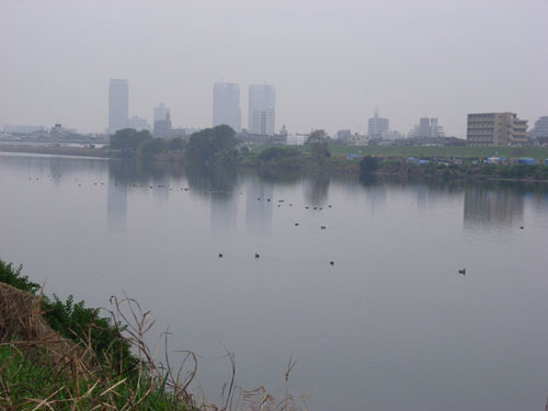 tamagawa.jpg