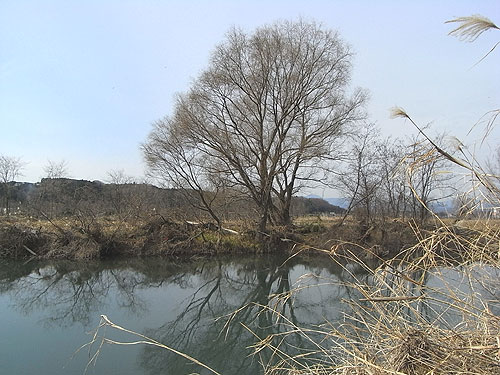 tamagawa5.jpg