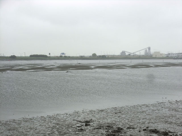 06-tamagawa.jpg