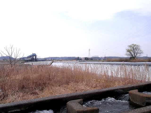 14-tamagawa.jpg