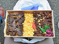 05-bento2_thumb.jpg