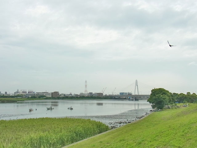 05-tamagawa2.jpg
