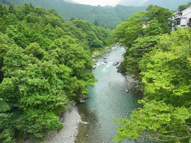 01-tamagawa.jpg