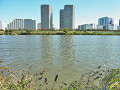 09-tamagawa_s.jpg