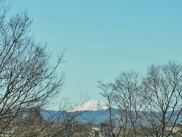 03-fuji.jpg