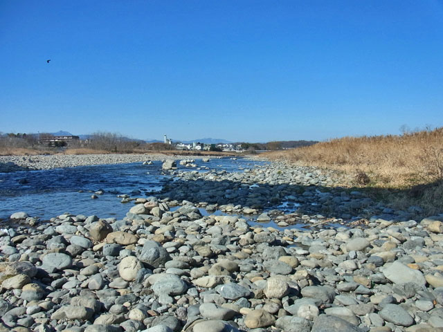 13-tamagawa.jpg