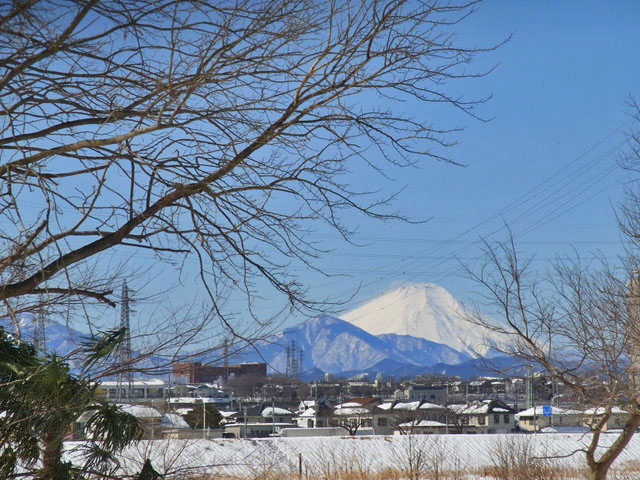 03-fujisan2.jpg