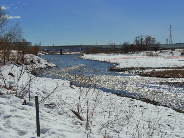 08-tamagawa.jpg