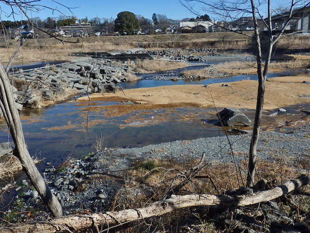 08-tamagawa.jpg