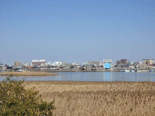 01-tamagawa2.jpg