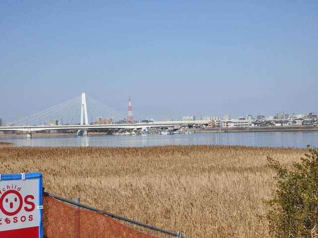 01-tamagawa3.jpg
