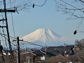 01-fujisan_thumb.png