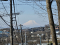 01-fujisan_thumb.png