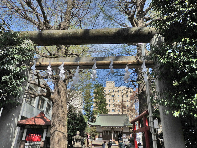 02-torii.jpg