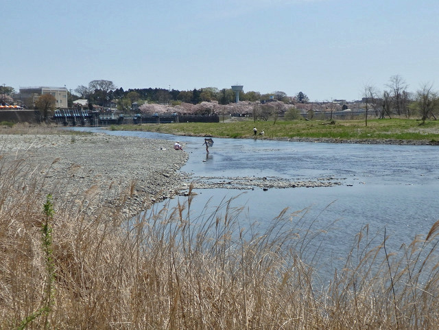 23-tamagawa.jpg