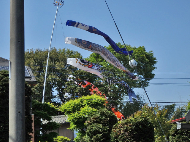 57-koinobori.jpg