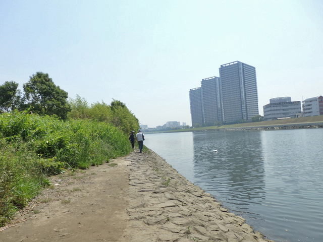 07-tamagawa.jpg