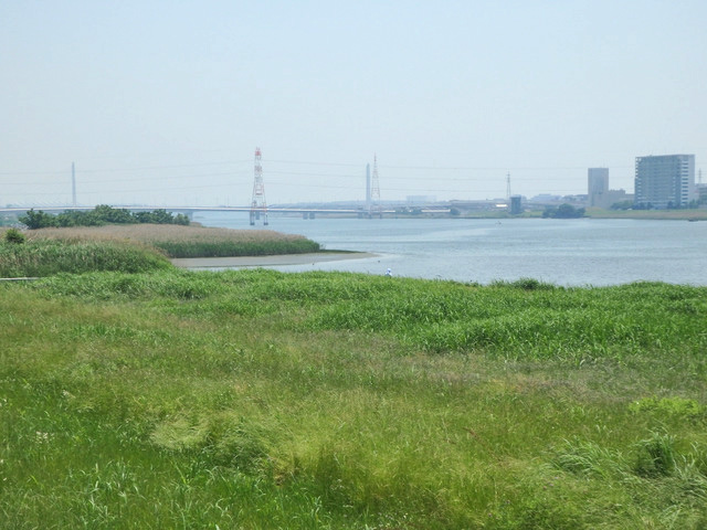22-tamagawa.jpg