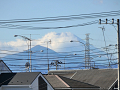14-fujisan_s.png