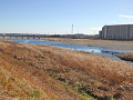 42-tamagawa4_s.png