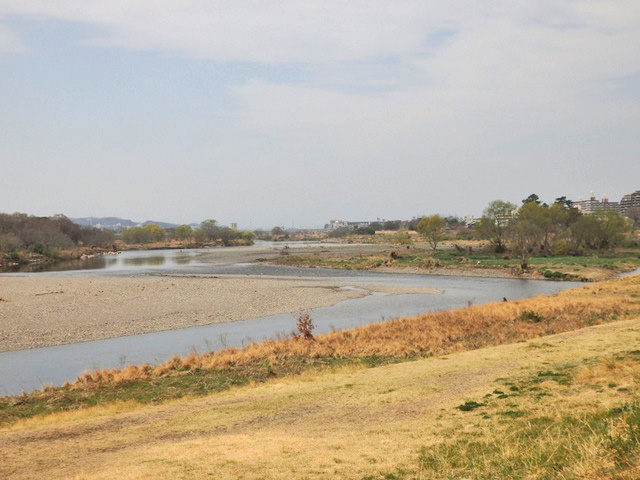 35-tamagawa.jpg