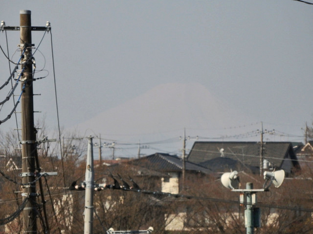 02-fuji.jpg