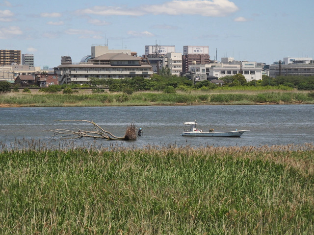 32-tamagawa.jpg