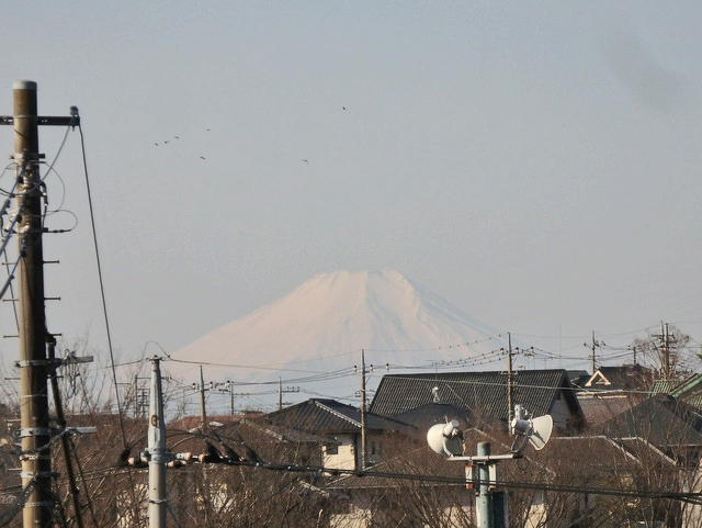 04-fuji.jpg