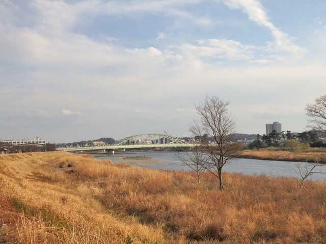 49-tamagawa.jpg