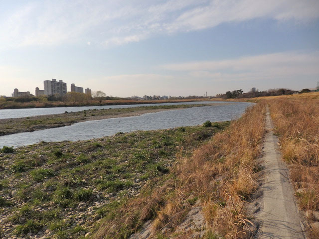 49-tamagawa2.jpg