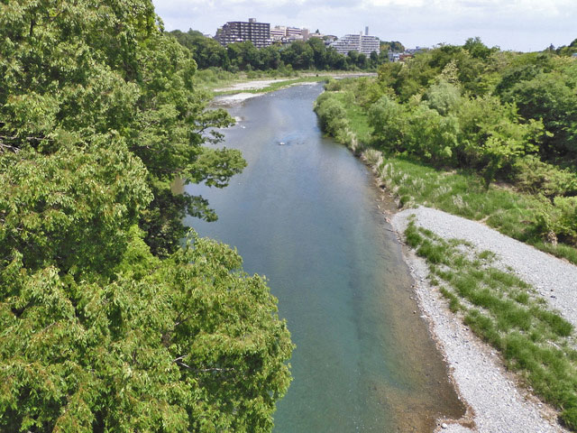 31-tamagawa.jpg