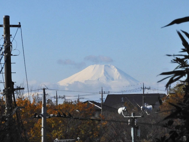 04-fuji.jpg