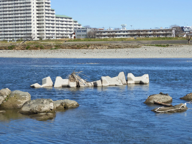 12-tamagawa.jpg
