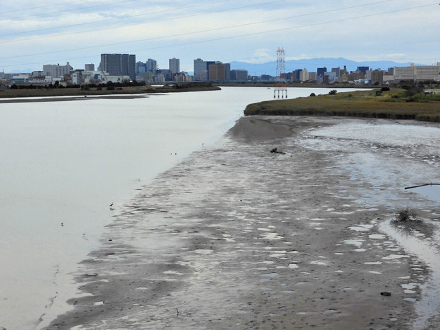 51-tamagawa.jpg