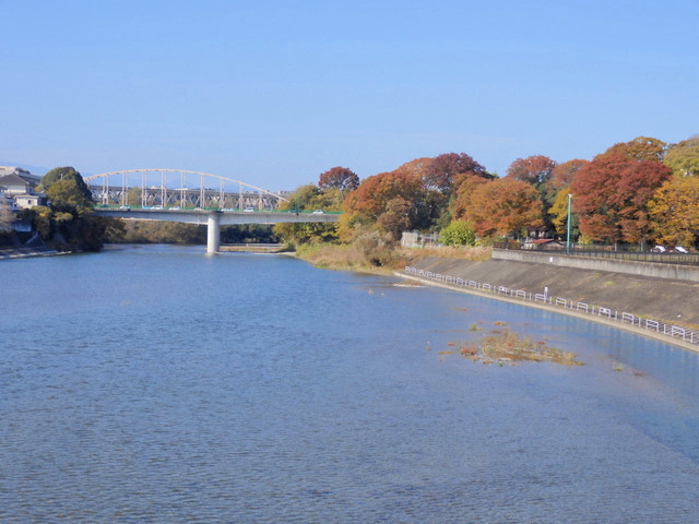 41-tamagawa4.jpg