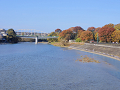 41-tamagawa4_s.png