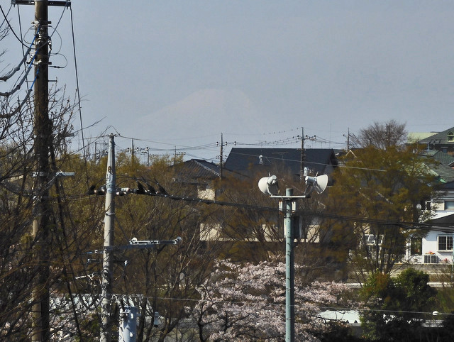 04-fujisan.jpg